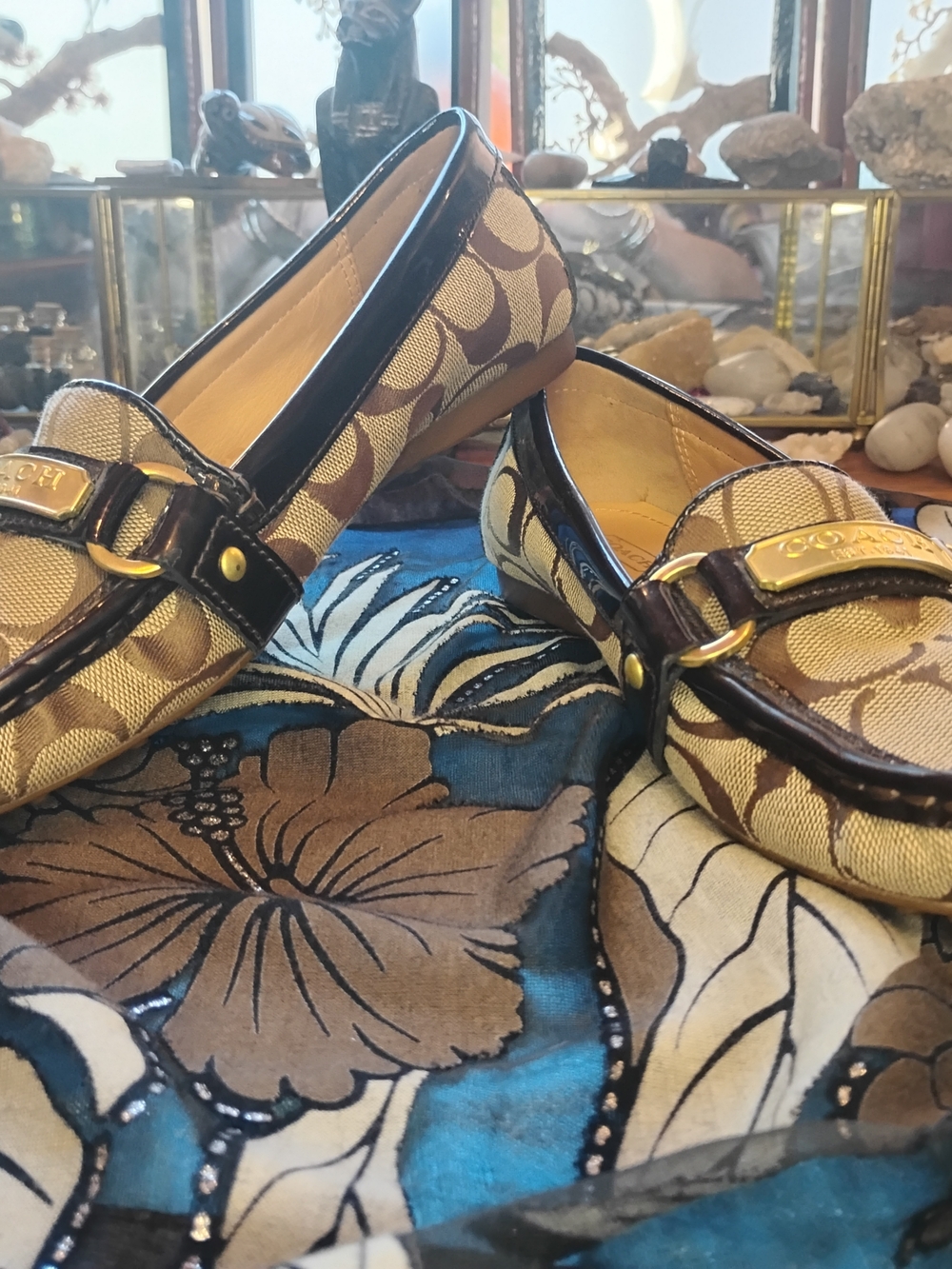 Coach Brown Signature Canvas Loafers with Dark Brown Trim - Picture 3 of 16